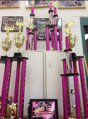 Trophies the dancers earned from Crowd Pleasers