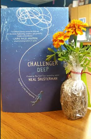 Dive deep into Shustermans latest, most heartbreaking novel Challenger Deep.
