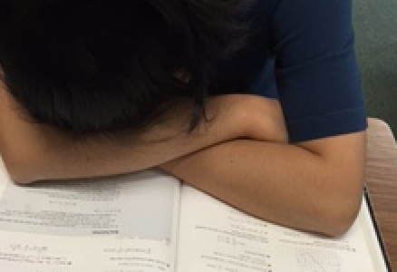 Senior-itis: the inflammation of seniors’ brains, inducing procrastination and focus deficit