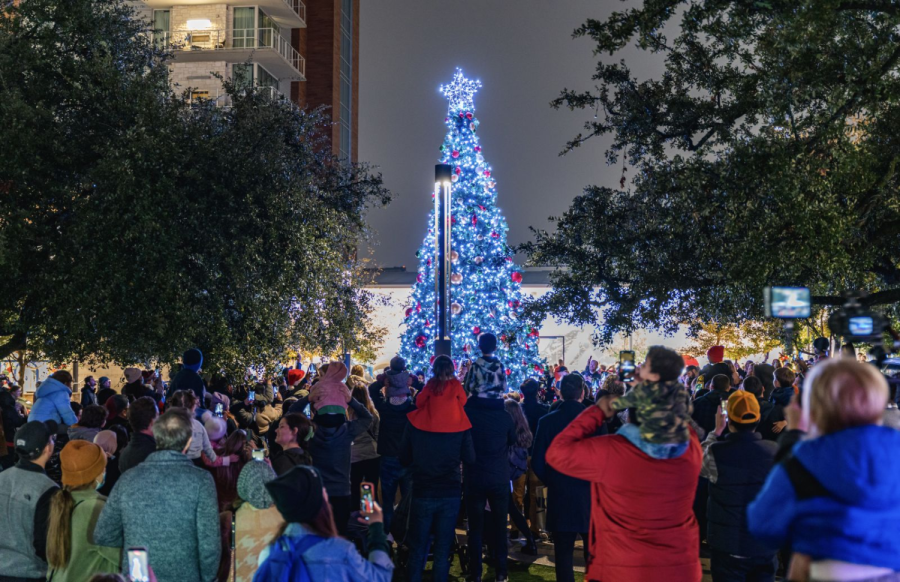 The Domain Tree Light Show