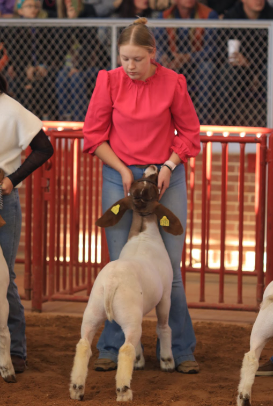 Senior Kyrsalee Anderson stands with her goat Junior so the judges can get a better look. Anderson said that Junior did really well at the showing and placed 15 out of 80. 