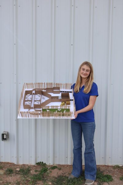 Junior Caylin Miles poses with her barn project.