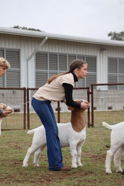 FFA Presents Animals at McNeil Show