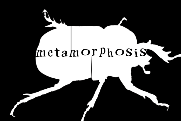 AP Literature Classes Read Metamorphosis