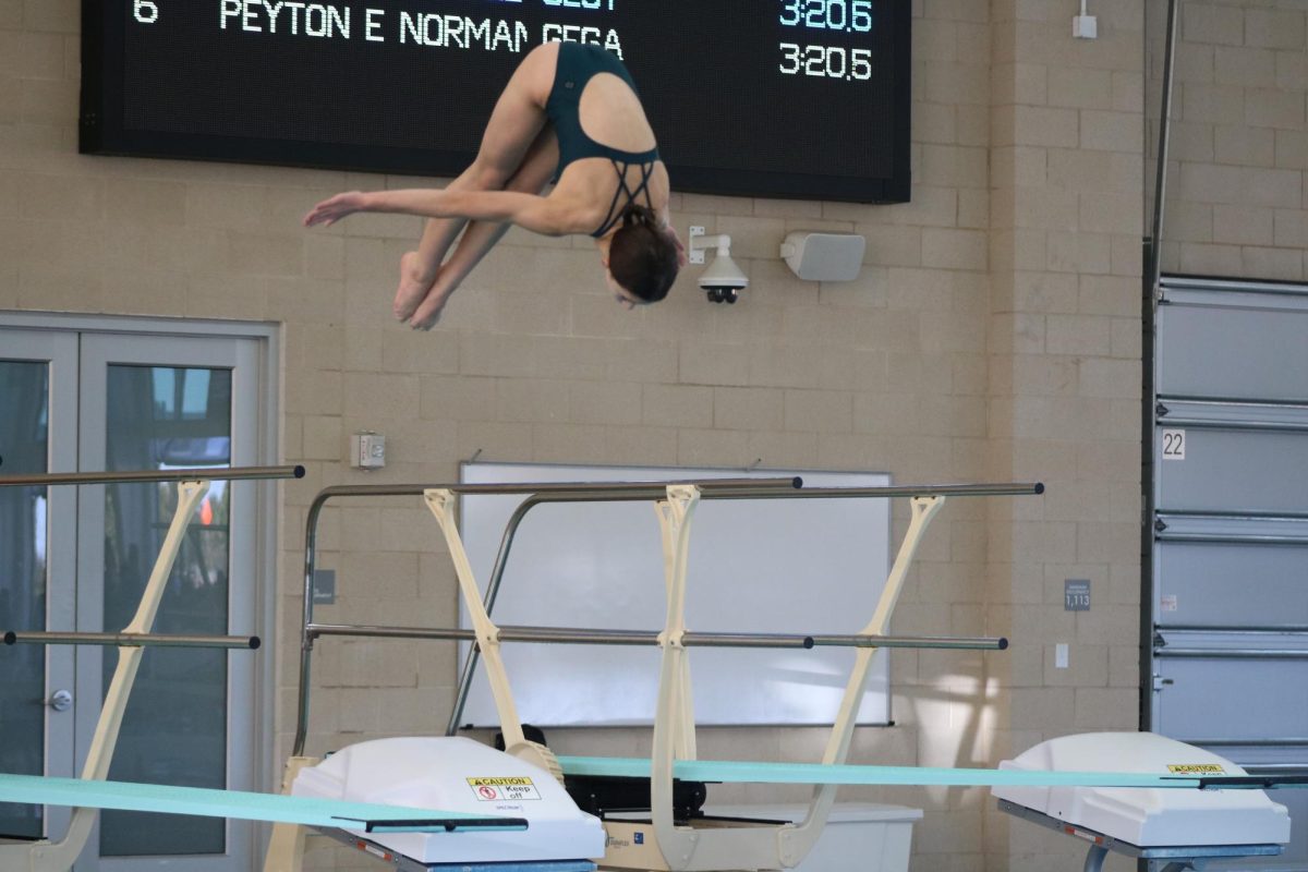 Diving Team Growth Leads To Success in Districts