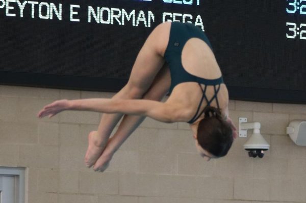 Diving Team Growth Leads To Success in Districts