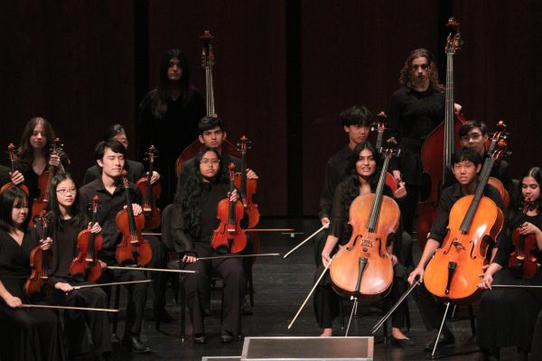 Orchestra Debuts UIL Performances