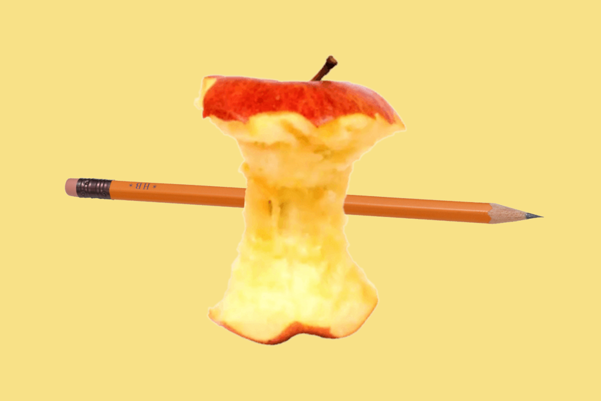 Teachers Share Fun Facts for Teacher Appreciation Week