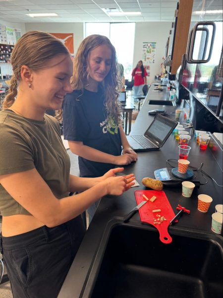 Senior Sophie Singer and sophomore Aleksandra Ivanov check the mass of their potato cores.