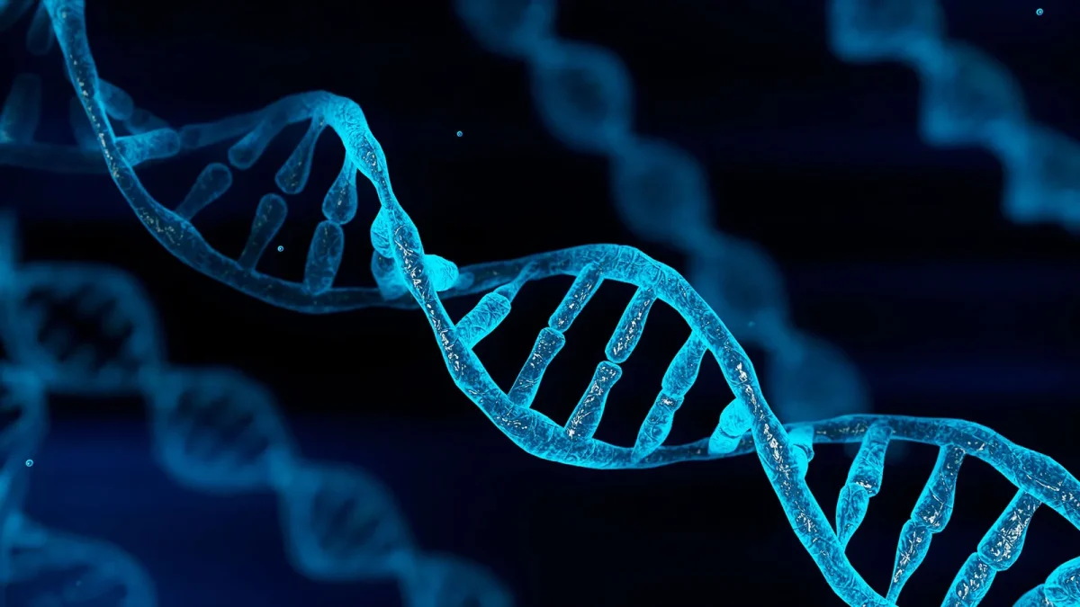 Genetic variation can be caused by differences in DNA sequences, leading to unique traits. At McNeil, students embrace these differences and what makes them unique. Photo Courtesy of Britannica
