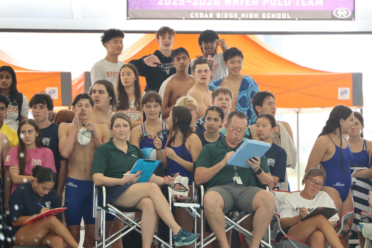 Diving Into the Life of a Swimmer
