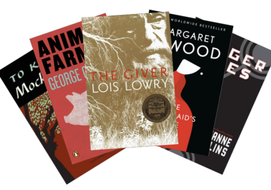 Book bans have typically targeted books containing LGBTQ+ or race-related themes. In recent years, the surge in these bans has been caused by activist groups with thousands of books being affected. 