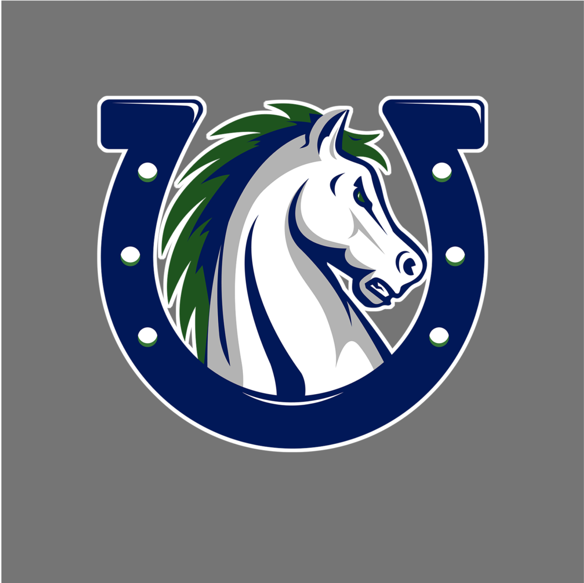 Image via McNeil High School