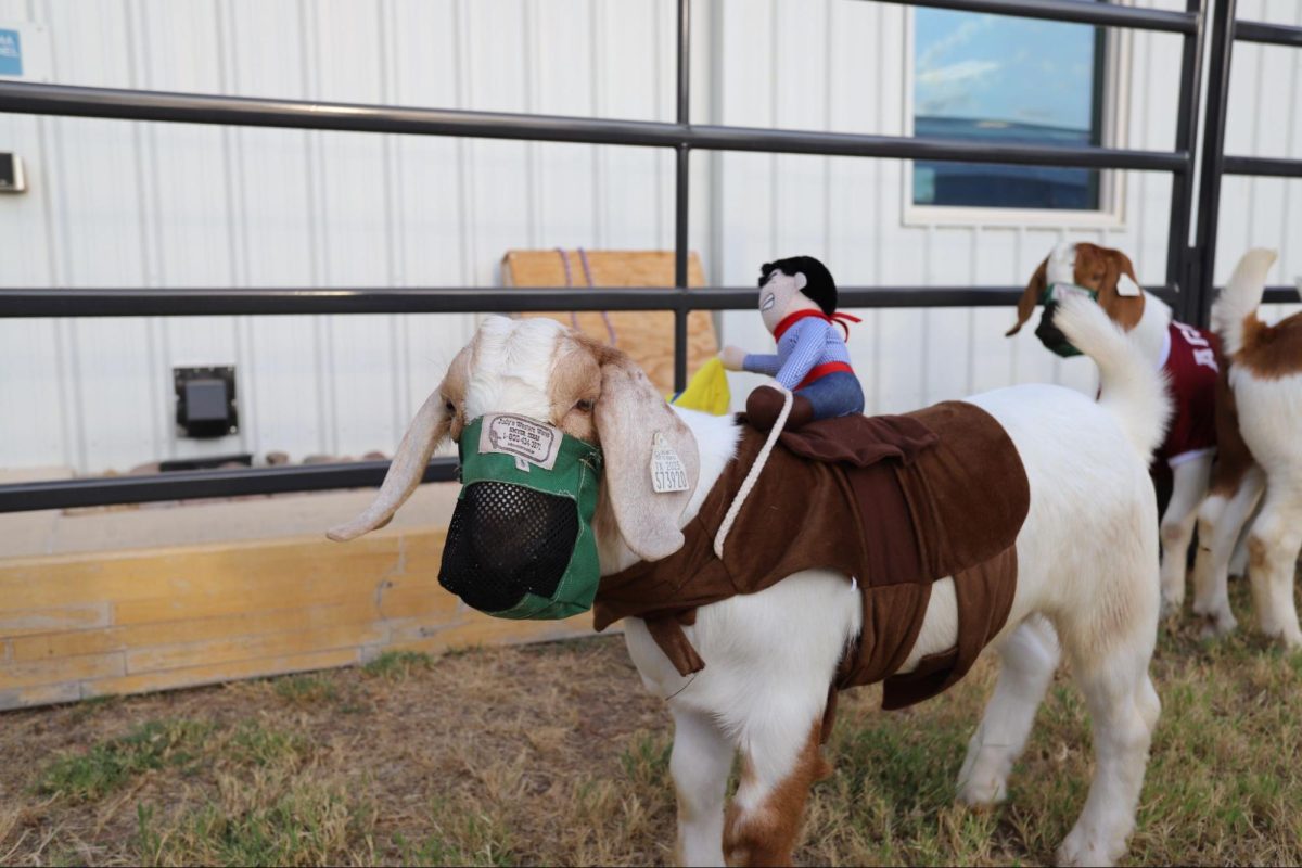 On Oct. 29, FFA Is hosting a “Halloween on the farm” after school activity to attract more people to the FFA world, while also creating a  fun experience for anyone that wants to go. Photo Courtesy of McNeil FFA