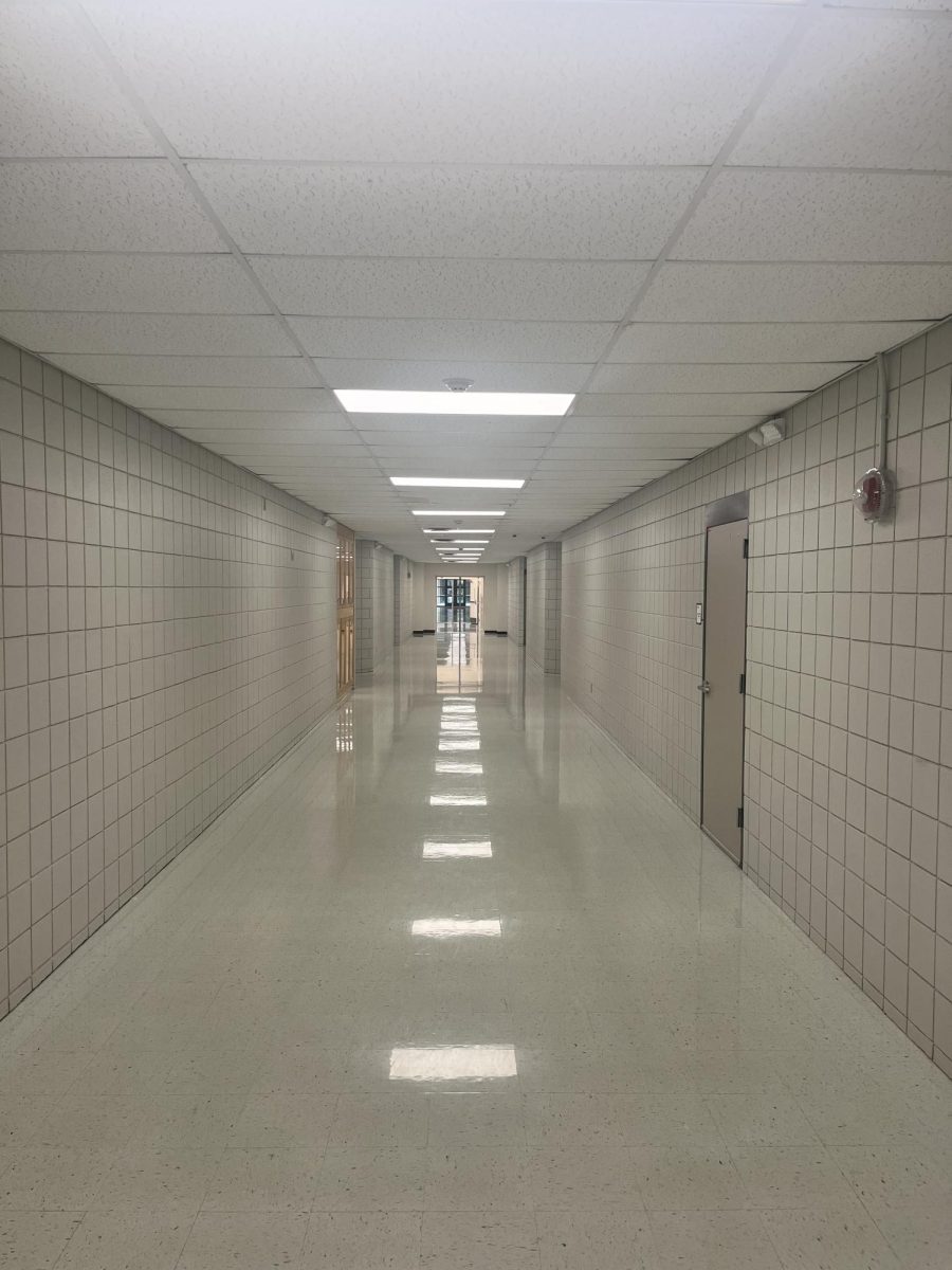 Photo showing the new lights in the downstairs C wing hallway