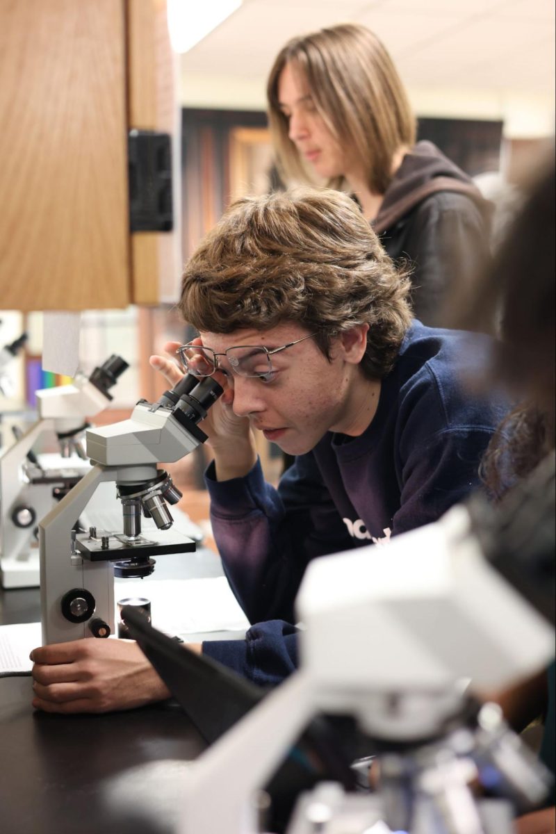 Senior Bailey Lewis using the microscope to identify hair during the hair lab. Photo Courtesy of Jurnee Rivera