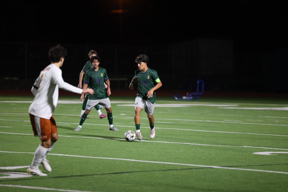 WINTER SPORTS #1