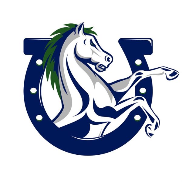 Image via McNeil High School