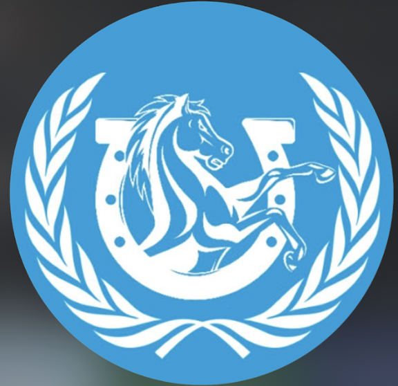 Photo Courtesy of McNeil Model UN