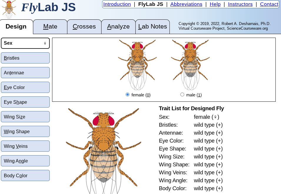 The Fly Genetic Software Students used for their lab on how traits show in different combinations of flies. Photo Courtesy of FlyLab JS