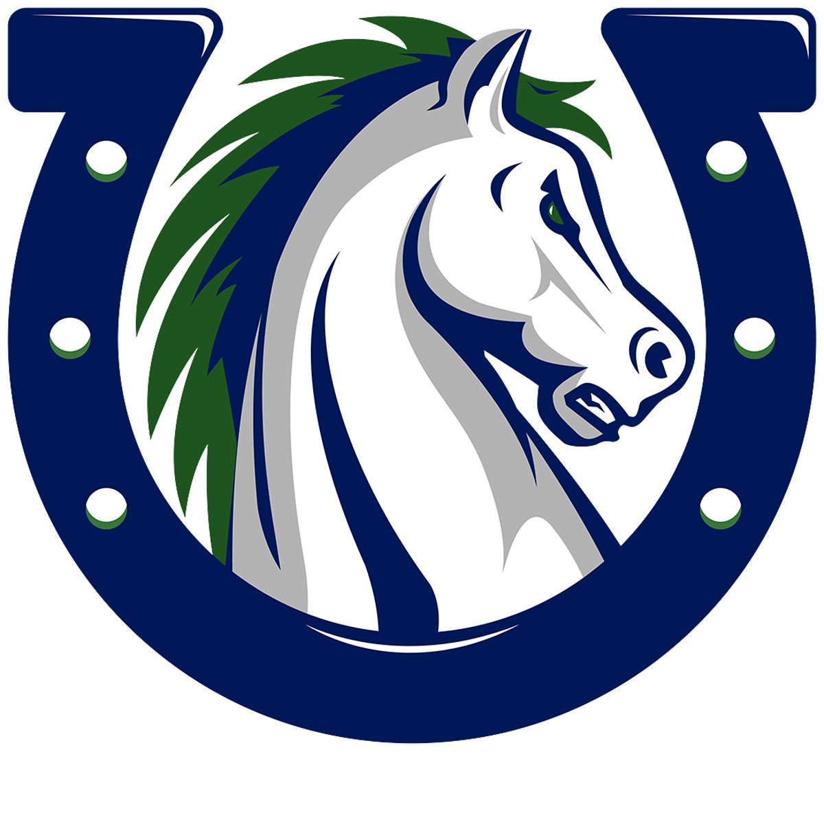 Photo Courtesy of McNeil High School
